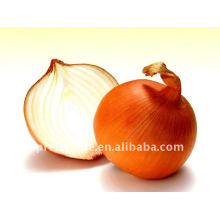 Low price Fresh Red Onion from china